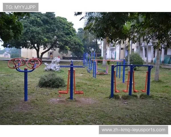 固定型健身器材名称及在室外公共场所的应用场景 固定型健身器材名称及在室外公共场所的应用场景