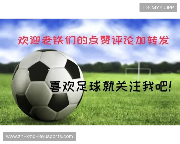 法甲赛季总结及球队整体表现分析报告