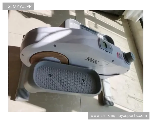 高效燃脂利器揭秘十大健身器材减肥排行榜 高效燃脂利器揭秘十大健身器材减肥排行榜